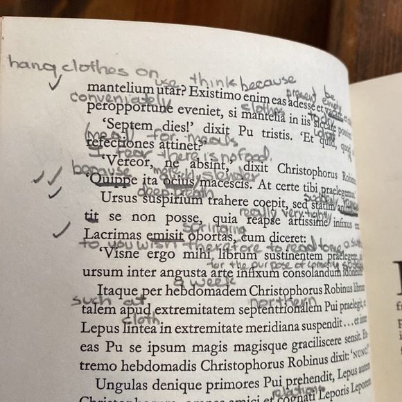 Latin Translation of Winnie the Pooh. Winnie Ille Pu by Alexander Lenard. - Picture 7 of 8